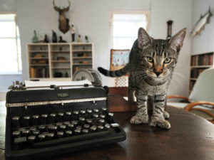 Archibald Leach protege a máquina de escrever de Hemingway