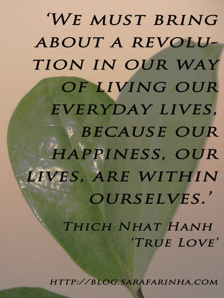 revolution_Thich Nhat Hanh