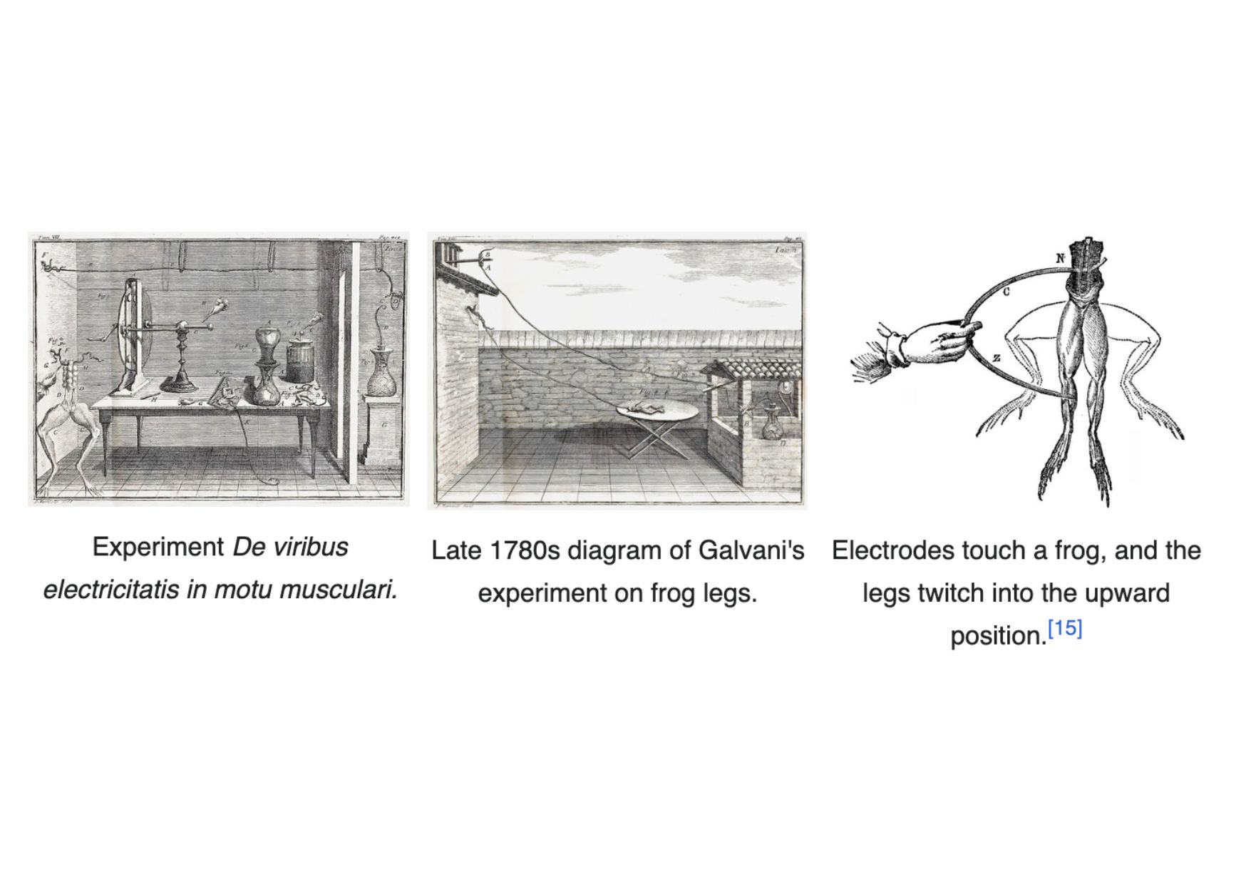 Experiências de Luigi Galvani