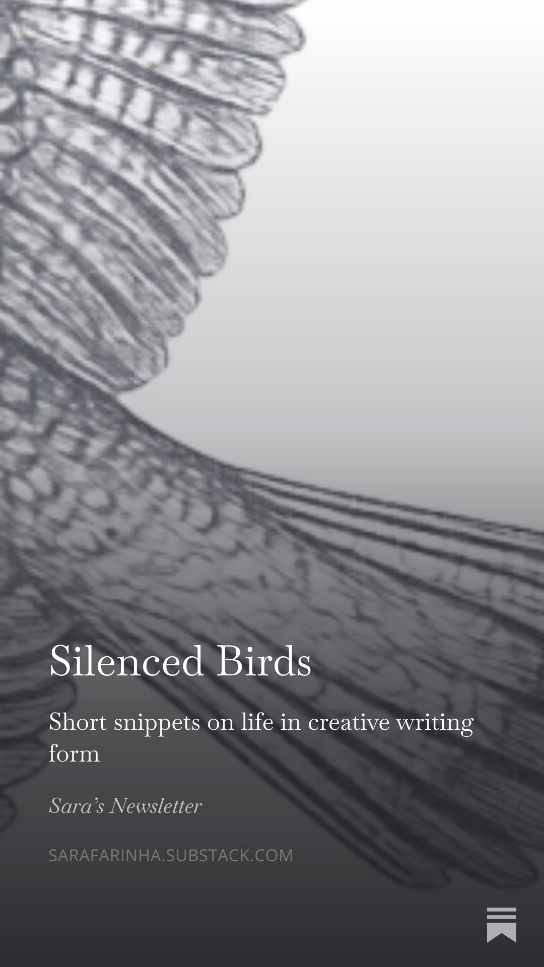 Silenced Birds